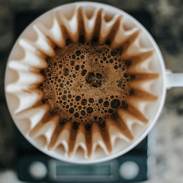 atelier de dégustation de café